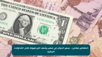 انخفاض مفاجئ.. سعر الدولار في مصر يشهد أكبر هبوط خلال التداولات البنكية